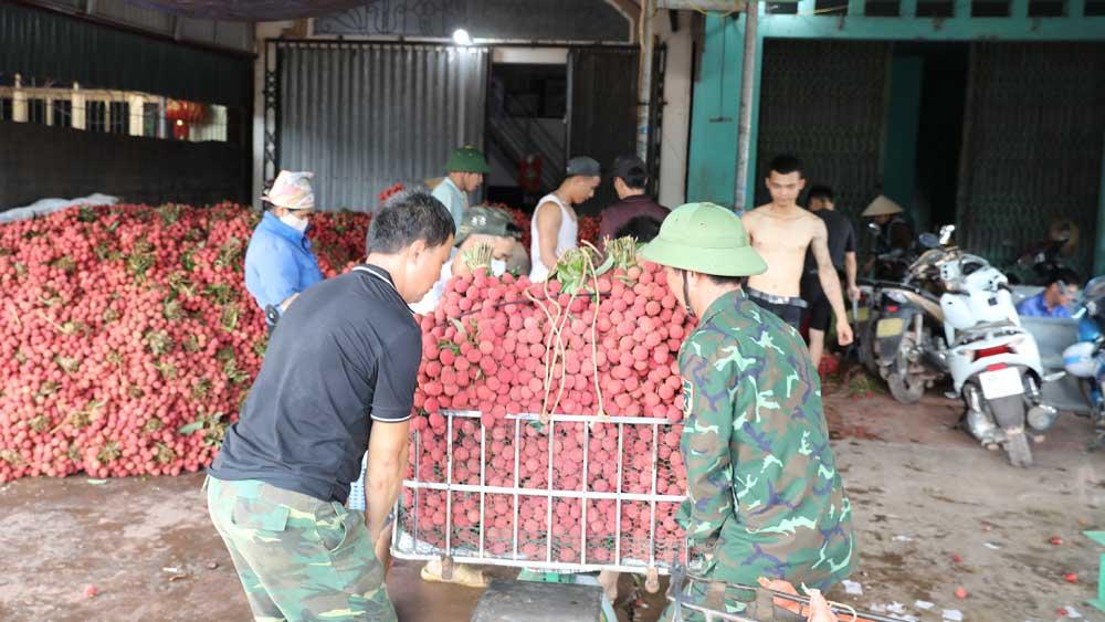 Vải thiều, Lục Ngạn, xuất khẩu