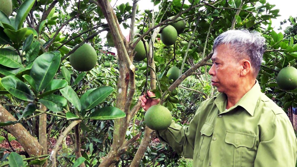 Bệnh binh, Đinh Văn Vững, vượt khó làm giàu