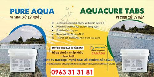 Vi sinh PURE AQUA xử lý chất lơ lửng trong ao tôm