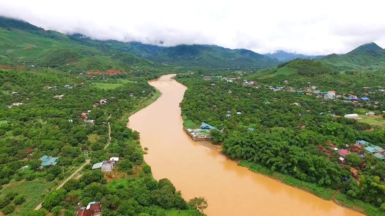 Sơn La: Nông dân đi lên từ cây nhãn - Ảnh 2.