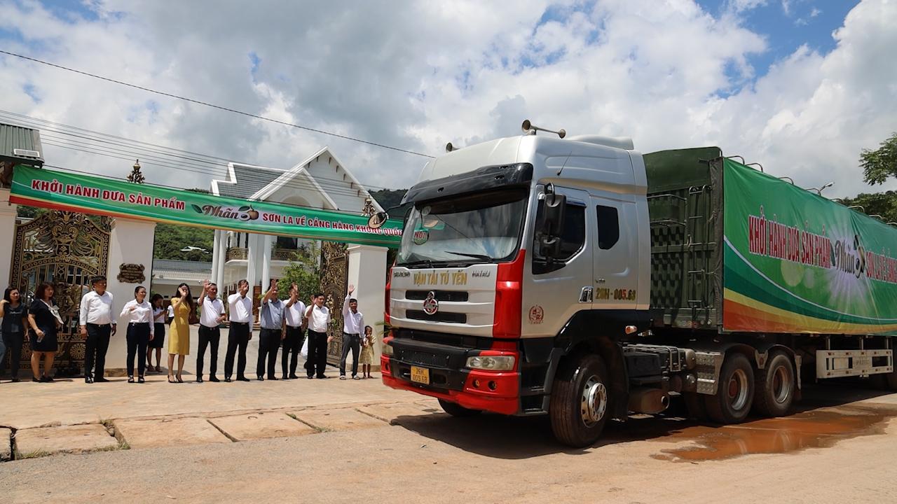 Yên Châu: Được mùa, nông dân trồng nhãn phấn khởi vào vụ thu hoạch - Ảnh 6.