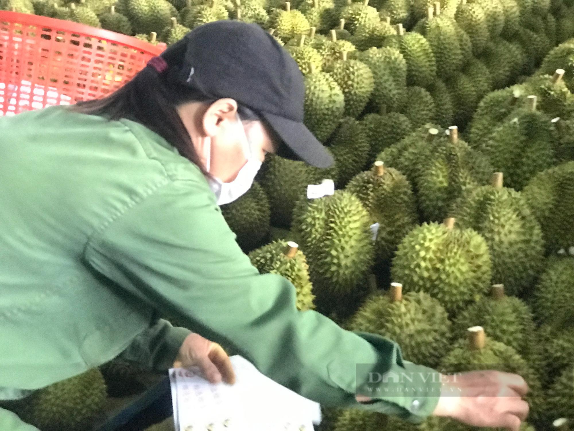 Cơ sở đóng gói của Công ty Cổ phần Xuất nhập khẩu Dũng Thái Sơn đã bị doanh nghiệp khác lấy mã để làm thủ tục xuất khẩu sầu riêng sang Trung Quốc. Ảnh: Duy Hậu