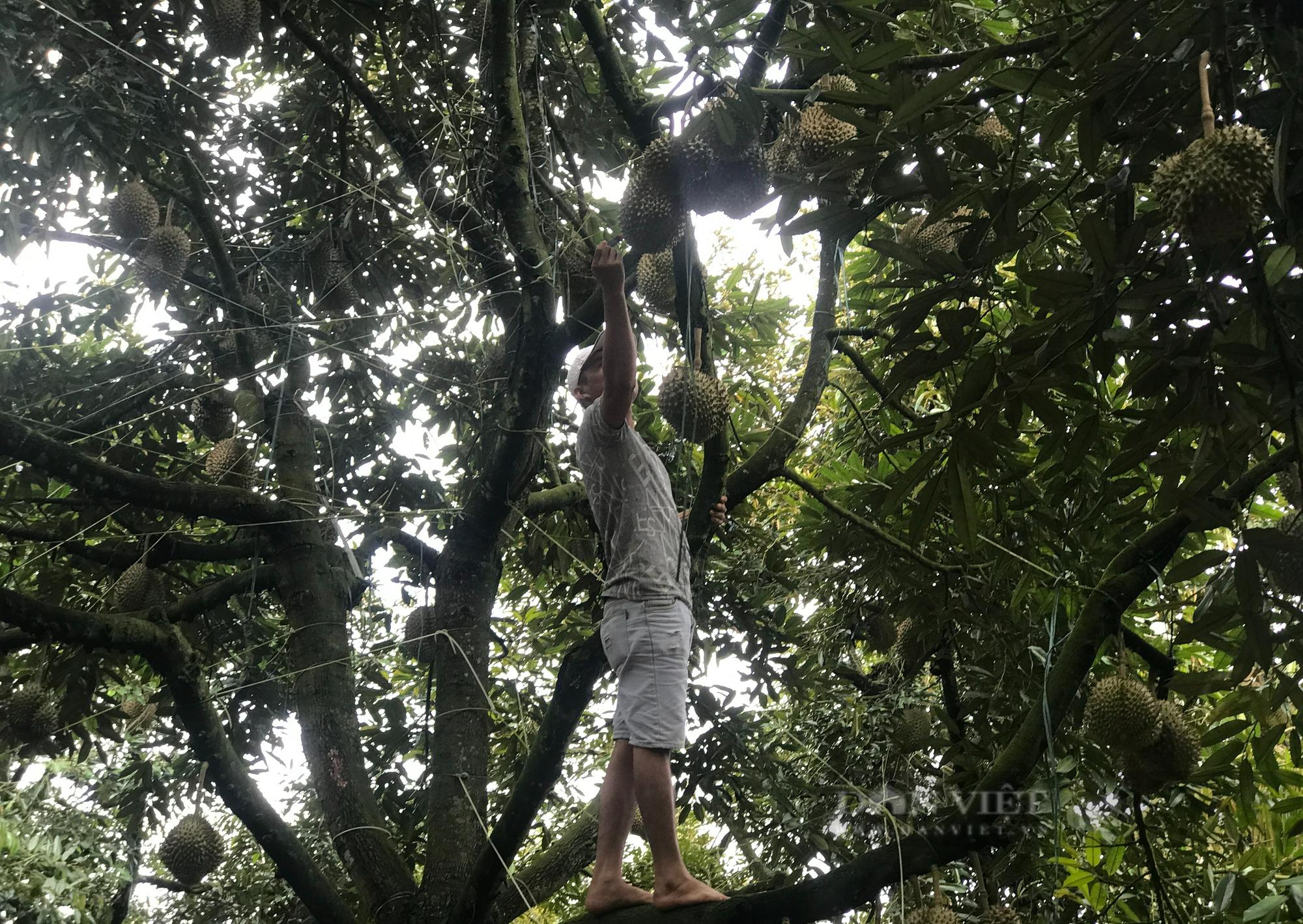 Trước việc bị