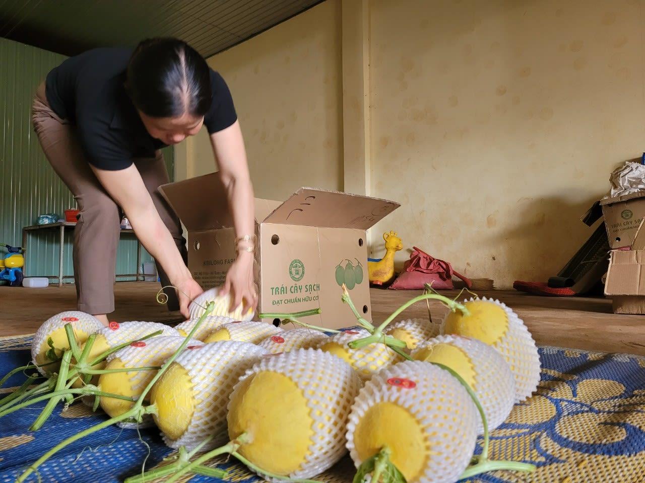 Nông dân ở Đắk Nông không cần phải ra chợ, ngồi ở nhà, lướt điện thoại là có thể bán hàng trên sàn thương mại điện tử. Ảnh: TX