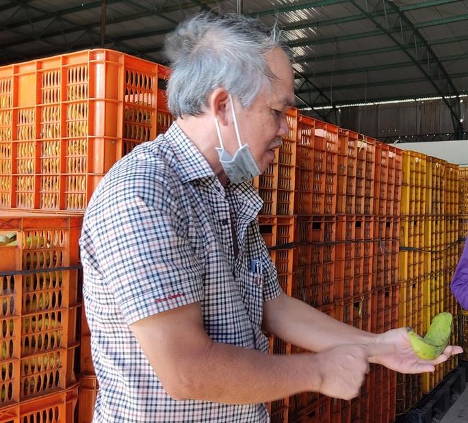 Bầu Đức giới thiệu kho chuối loại dành cho heo
