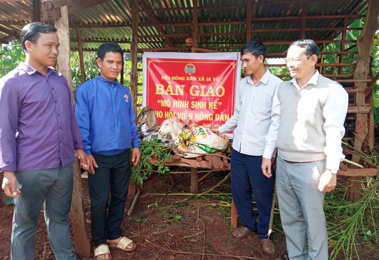 Hội Nông dân xã Ia Vê (huyện Chư Prông) hỗ trợ mô hình sinh kế cho hội viên nghèo. Ảnh: Nhật Hào