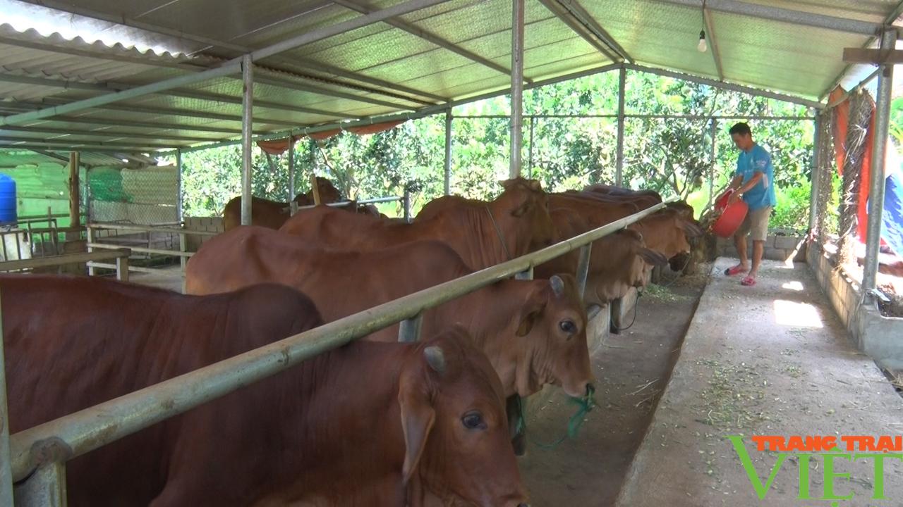 Yên Châu: Đẩy mạnh chăn nuôi giúp nông dân vươn lên làm giàu - Ảnh 2.