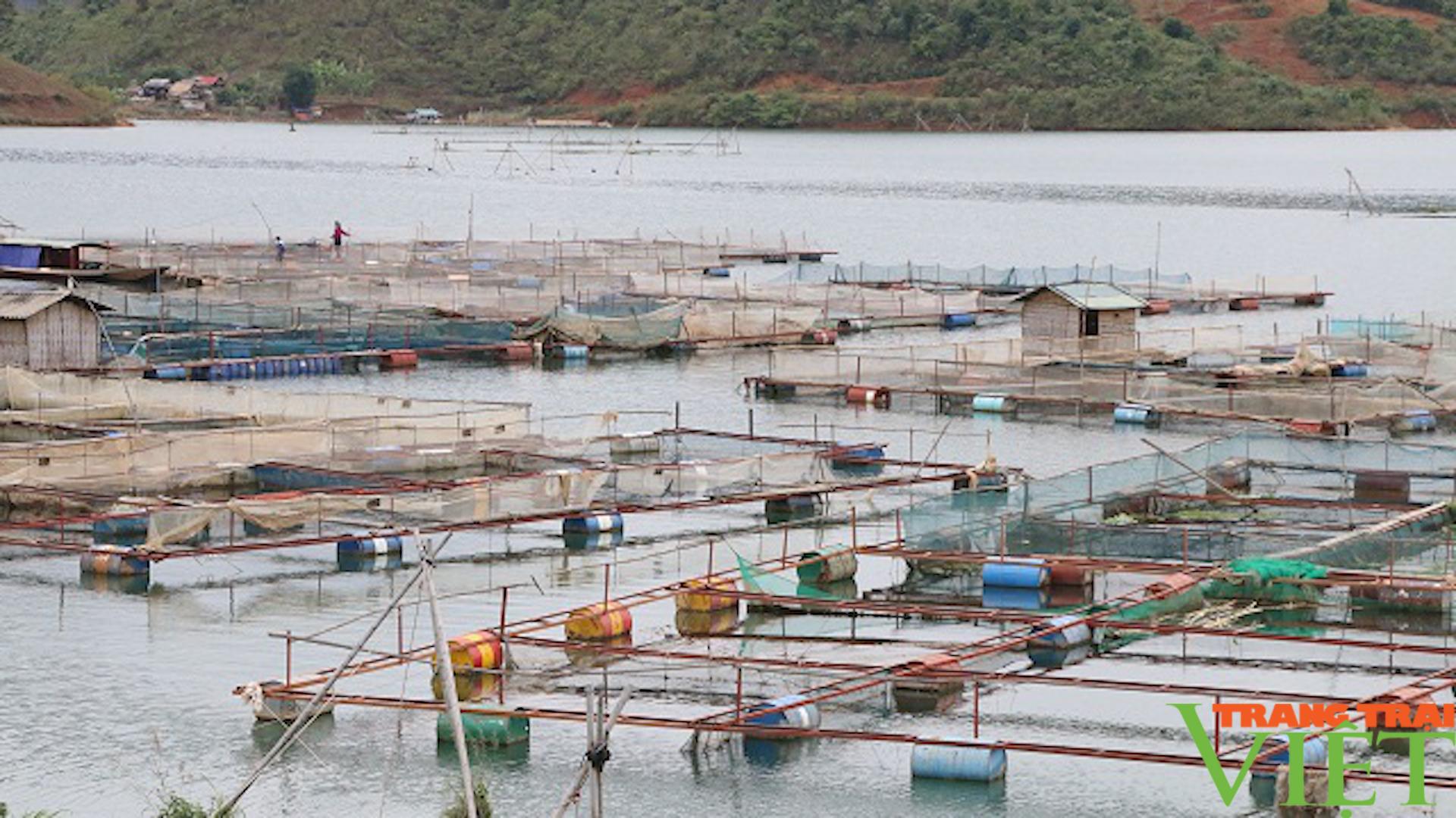 Nông dân vùng cao, thi đua sản xuất kinh doanh giỏi - Ảnh 3.