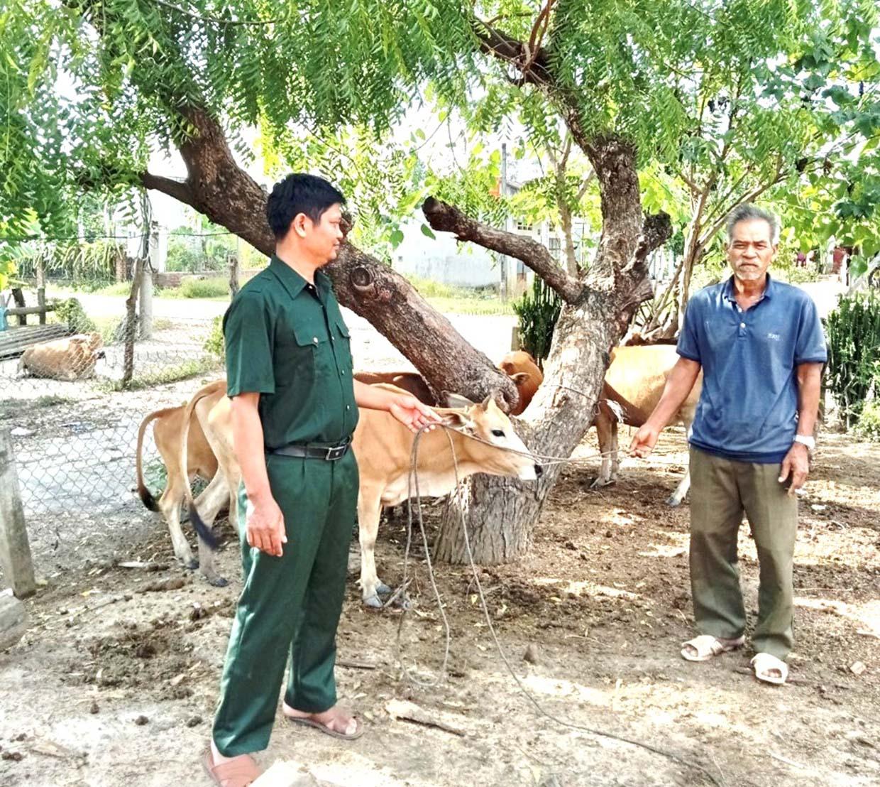 Gia đình ông Rmah Ben (buôn Plei Chrung, xã Ia Piar) được Hội Cựu chiến binh huyện Phú Thiện tặng bò sinh sản, tạo sinh kế giúp vươn lên thoát nghèo. Ảnh: Đinh Yến