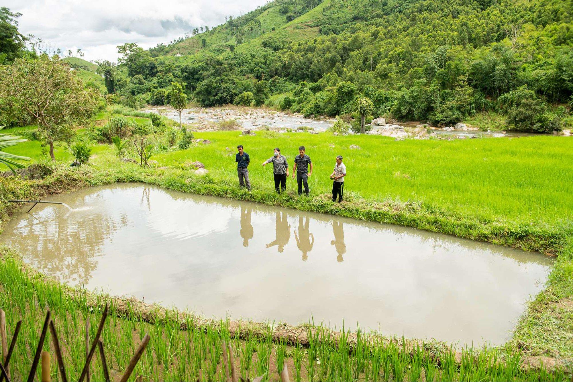 Ao nuôi cá niên của hộ gia đình A Kha ở thôn Văk Y Nhông, huyện Kon Plông, tỉnh Kon Tum. Ảnh: ĐT