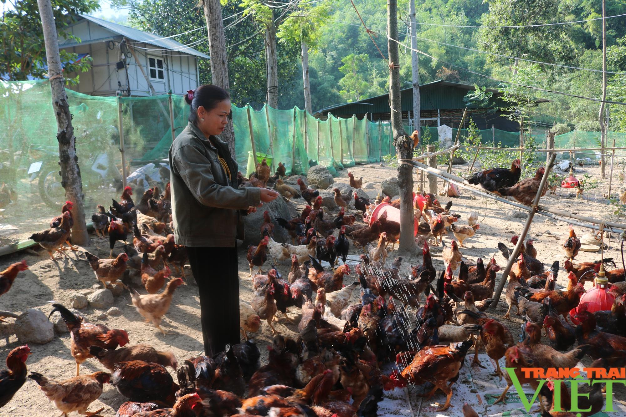 Lan tỏa phong trào nông dân sản xuất kinh doanh giỏi ở Hòa Bình - Ảnh 4.