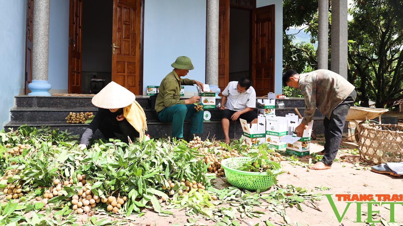 Hỗ trợ nông dân xây dựng thương hiệu, tiêu thụ sản phẩm - Ảnh 6.