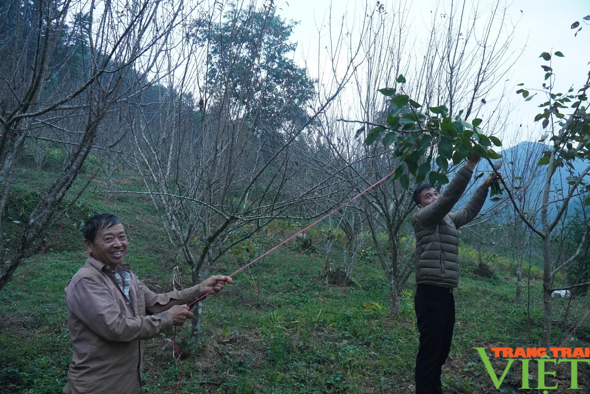 Xa xồi những mùa hoa anh túc nơi thượng nguồn sông Chảy - Ảnh 3.