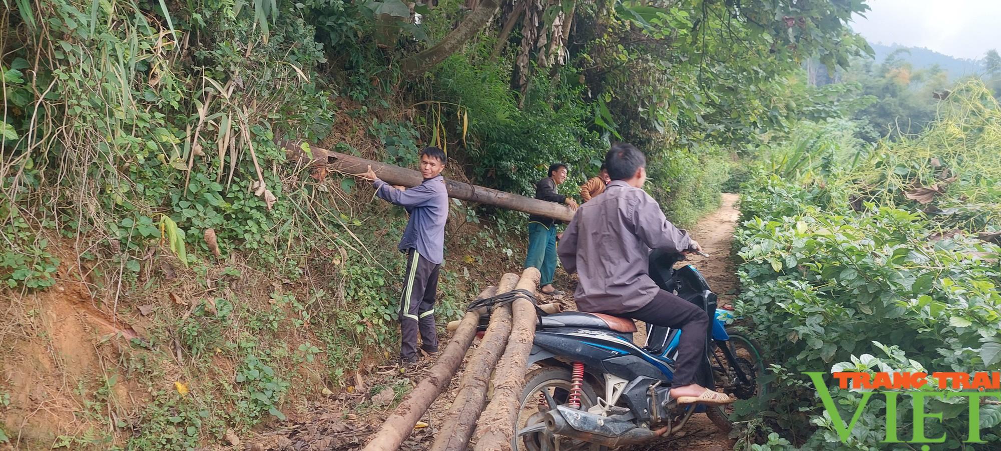 Xa xồi những mùa hoa anh túc nơi thượng nguồn sông Chảy - Ảnh 2.