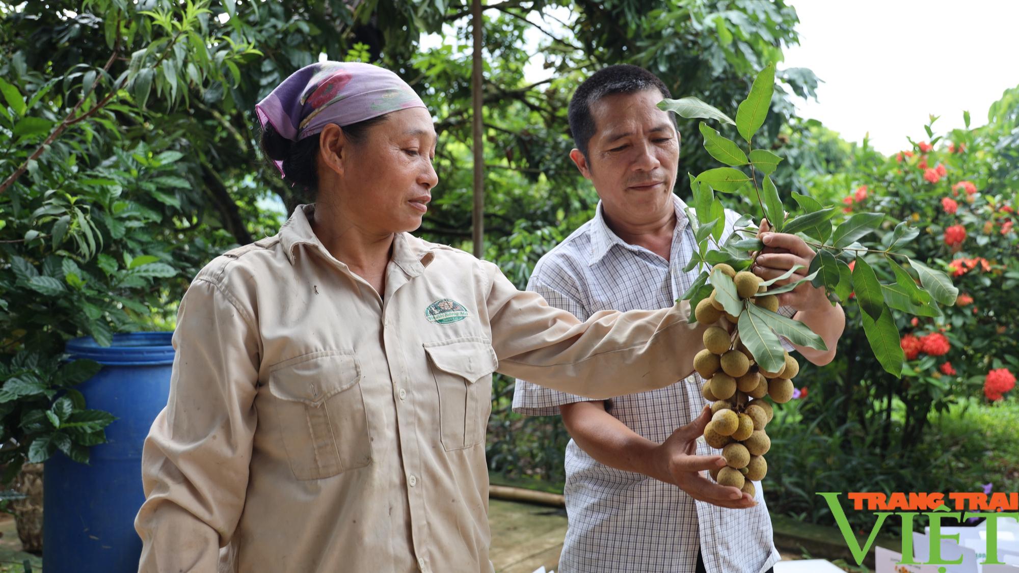 Hỗ trợ nông dân xây dựng thương hiệu, tiêu thụ sản phẩm - Ảnh 5.