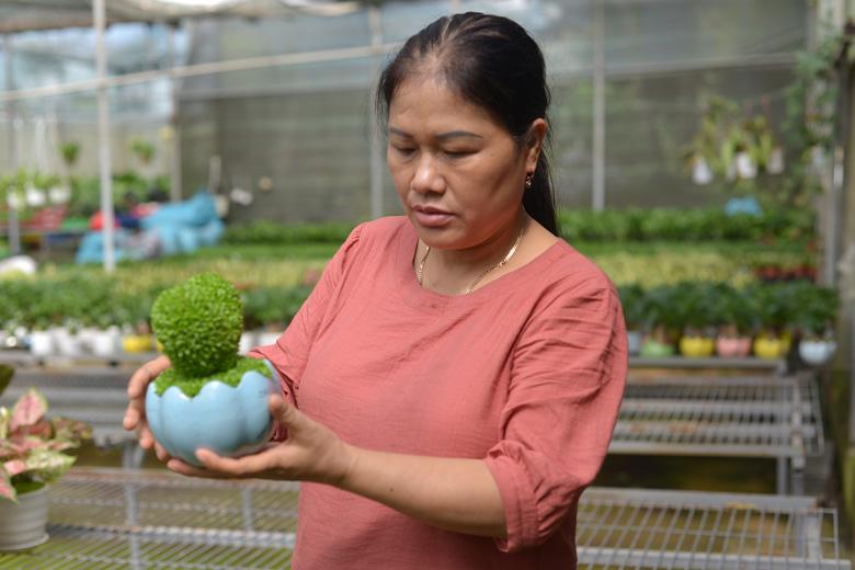 Bà Vũ Thị Thu, xã Tân Nghĩa, huyện Di Linh, tỉnh Lâm Đồng giới thiệu cách ươm hạt thanh long thành các chậu cây cảnh mini hết sức độc đáo.