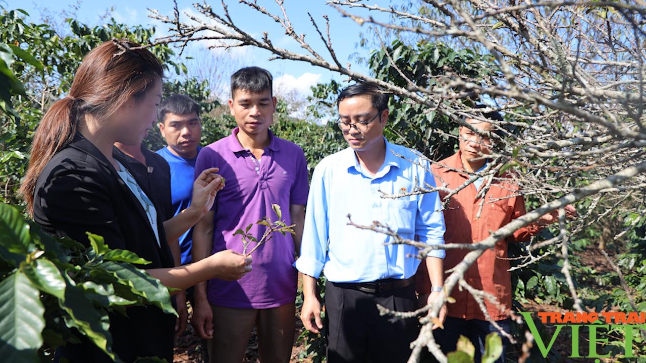 Cầm tay chỉ việc, giúp nông dân phát triển kinh tế - Ảnh 6.