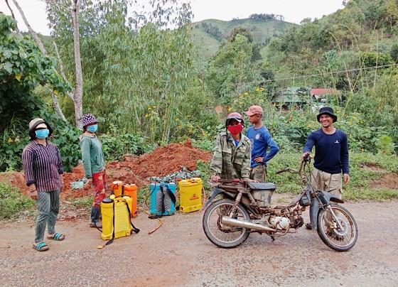 Chăm sóc, phun thuốc diệt mối trên khu vực rừng trồng xã Đắk Hà.