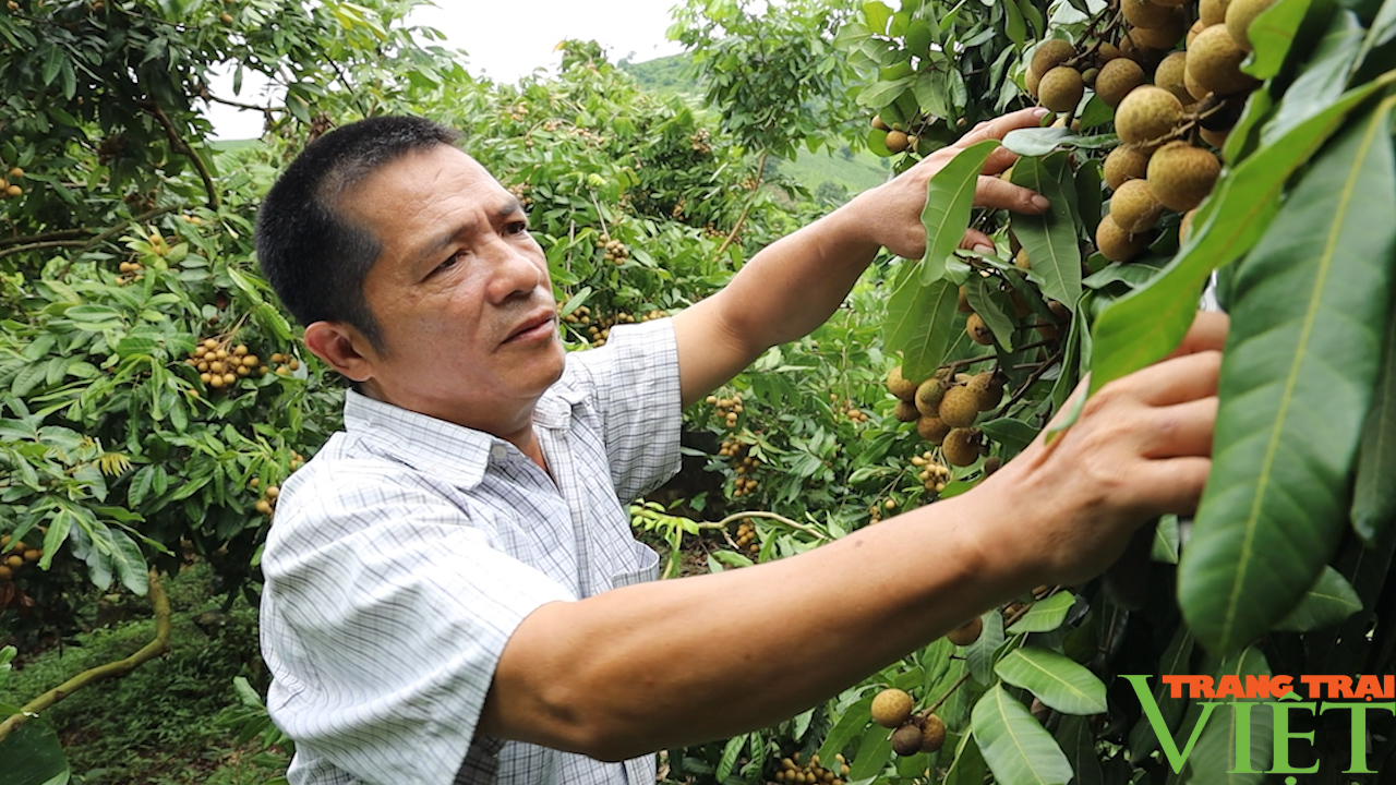 Cùng nông dân phát triển sản xuất, nâng cao thu nhập - Ảnh 5.