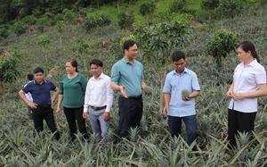 Hội Nông dân Sơn La chung tay thúc đẩy phát triển KT - XH