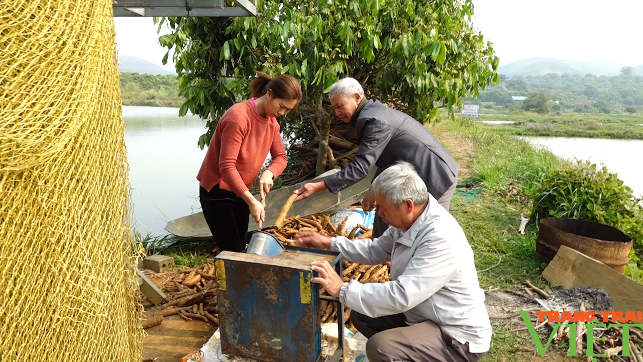 Đào ao thả cá, trồng cây ăn quả, lão nông cao nguyên lãi đậm - Ảnh 5.