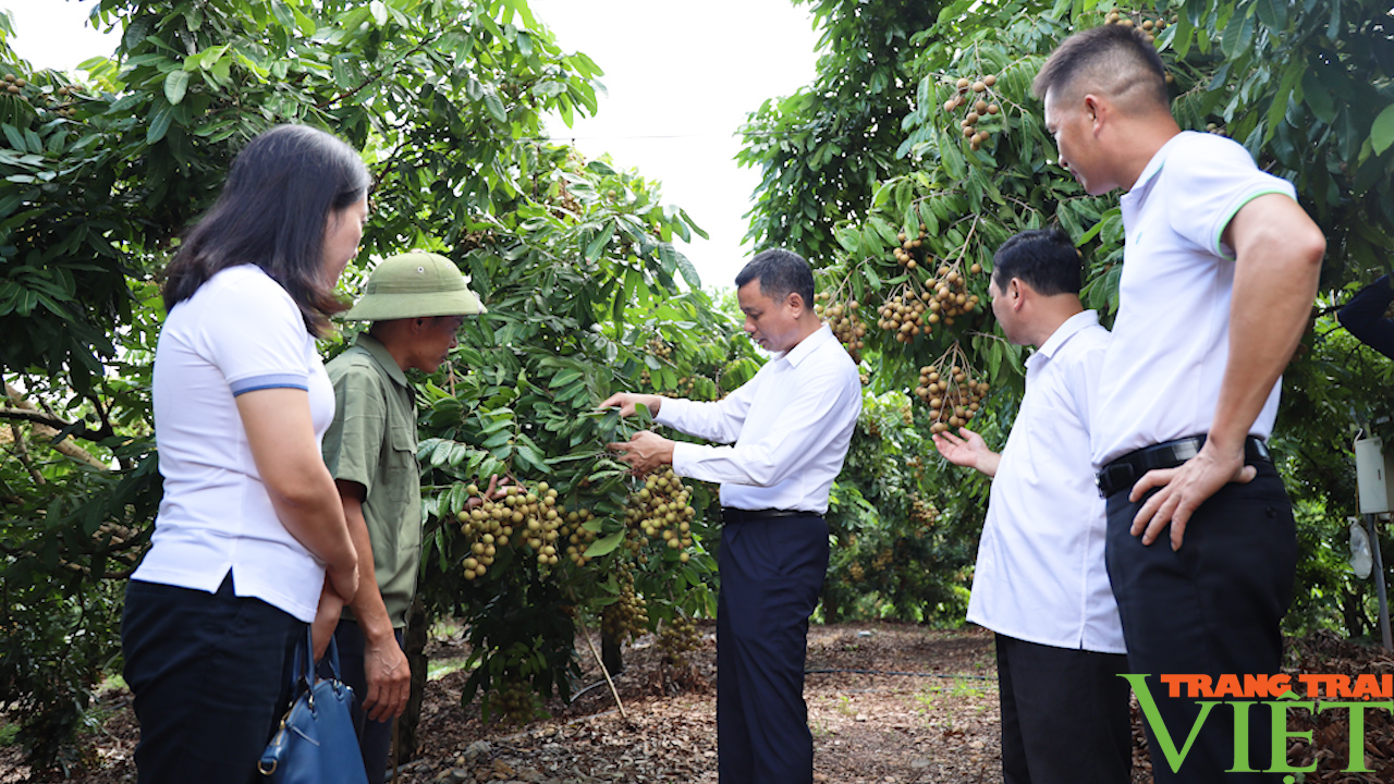 Nông dân năng động, sáng tạo trong phát triển kinh tế - Ảnh 3.