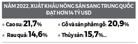 Xuất khẩu nông sản sang Trung Quốc khởi sắc - Ảnh 2.