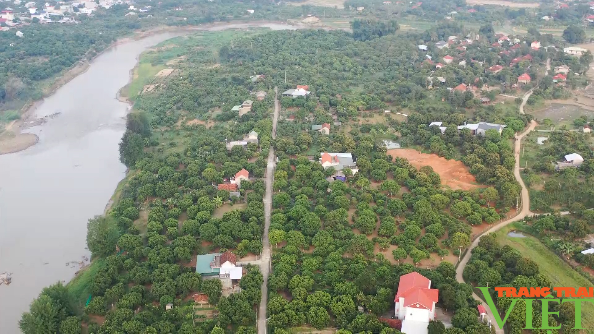 Sông Mã (Sơn La): Phát huy kinh tế tập thể góp phần xây dựng NTM - Ảnh 2.