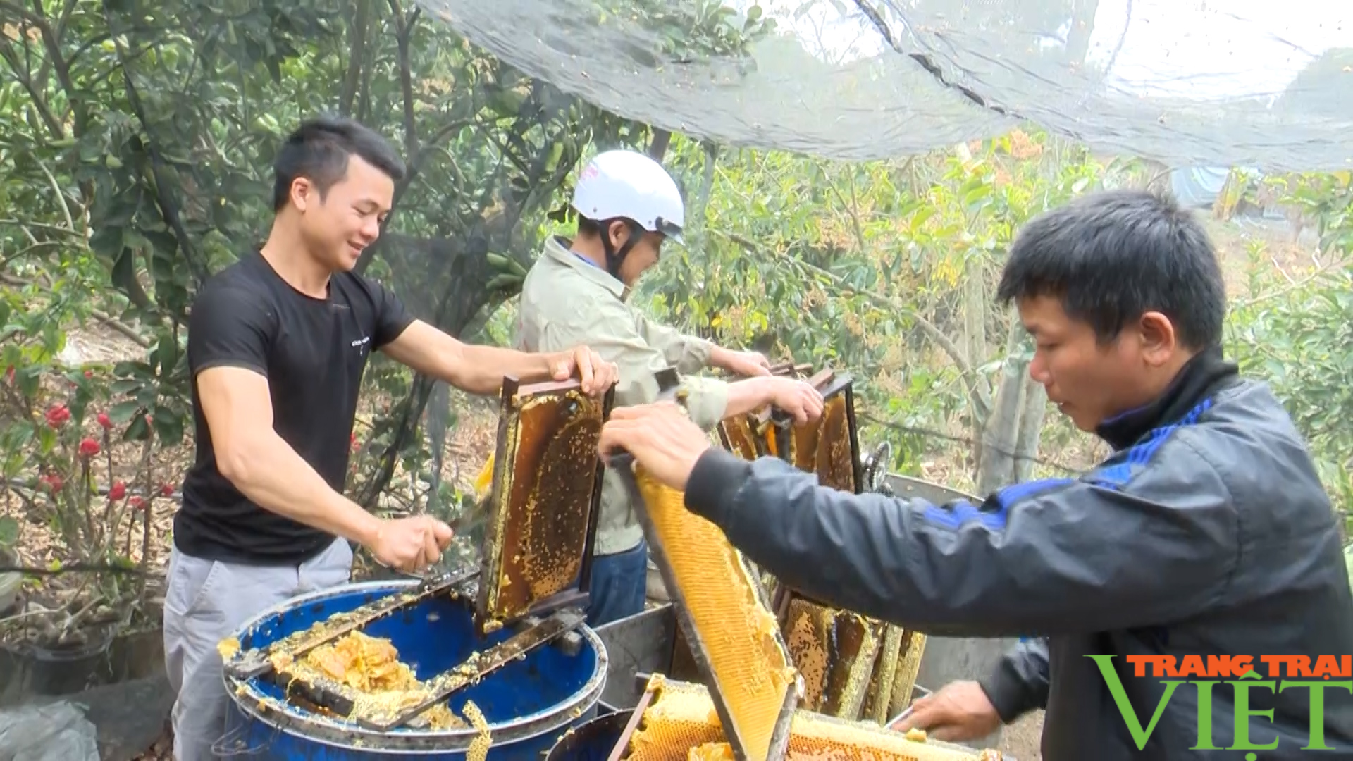 Sông Mã (Sơn La): Phát huy kinh tế tập thể góp phần xây dựng NTM - Ảnh 6.