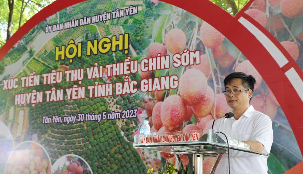 Bắc Giang, vải sớm, Tân Yên, tiêu thụ, xúc tiến.