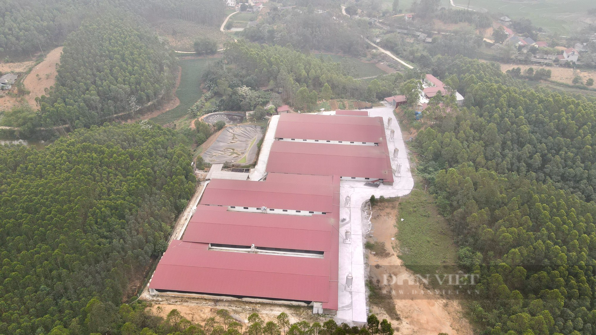 Hơn 7.700m2 đất trồng rừng bị phù phép thành trang trại chăn nuôi lợn ở Sông Lô, Vĩnh Phúc - Ảnh 1.