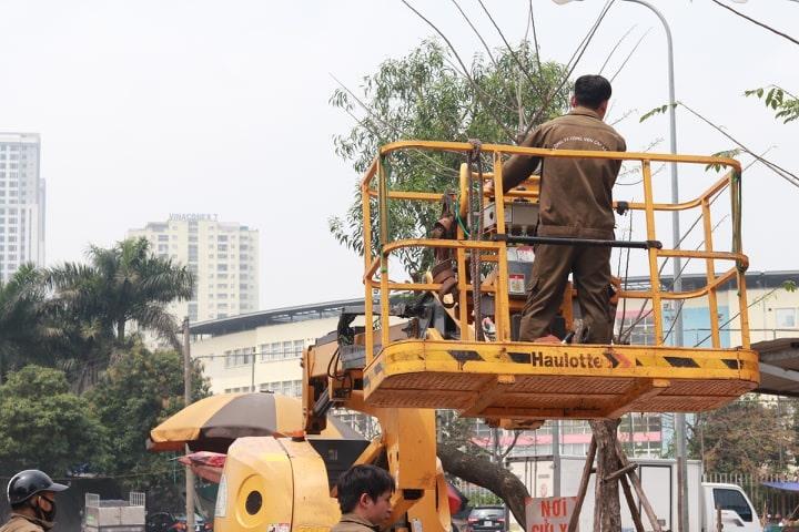 Hà Nội: Lên kế hoạch cắt tỉa cây xanh trước mùa mưa bão năm 2023