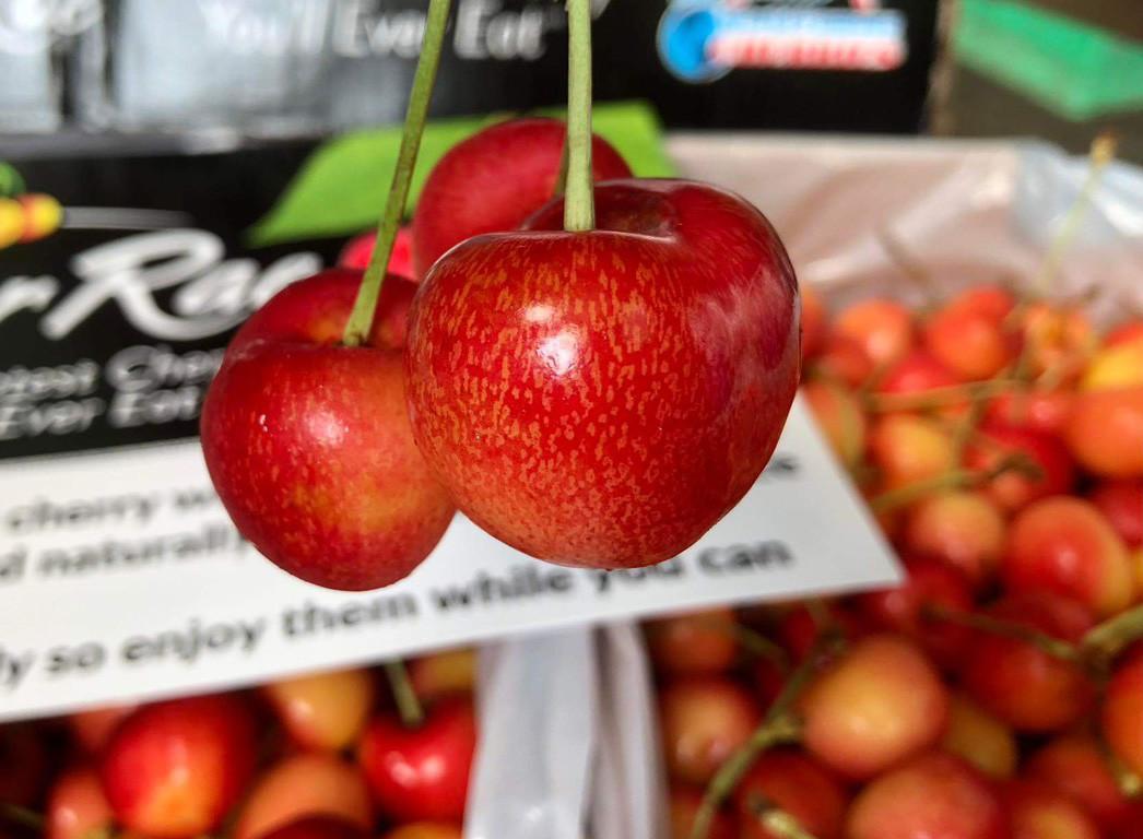 Cherry nhập khẩu bán đầy chợ Việt, hàng Mỹ giá rẻ chưa từng có