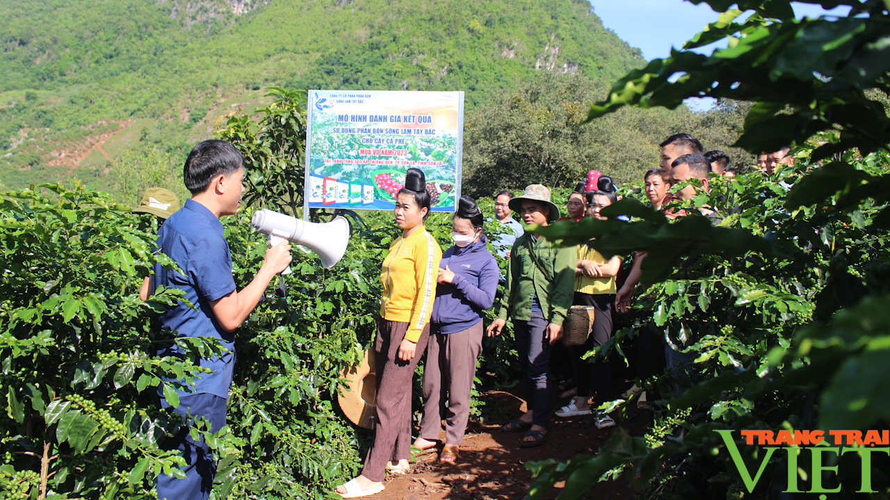 Phân bón Sông Lam Tây Bắc đồng hành cùng nông dân làm giàu - Ảnh 8.