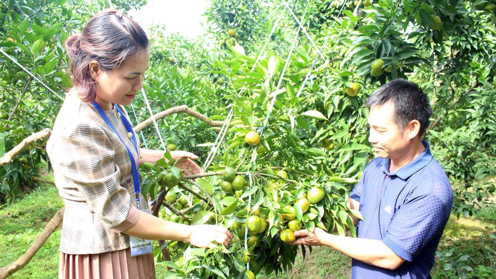 mô hình nông nghiệp; Xay Sổm Bun; hỗ trợ; Bắc Giang