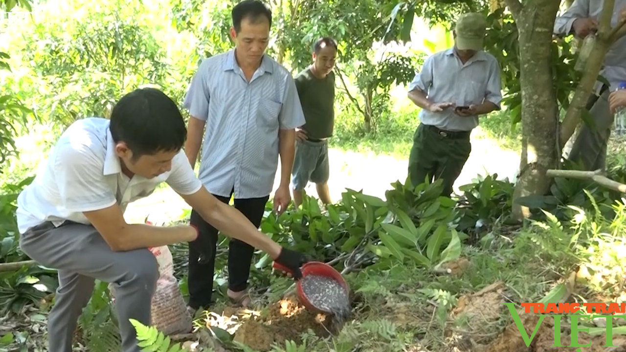 Cầm tay, chỉ việc cùng hội viên nông dân phát triển sản xuất, nâng cao thu nhập - Ảnh 4.