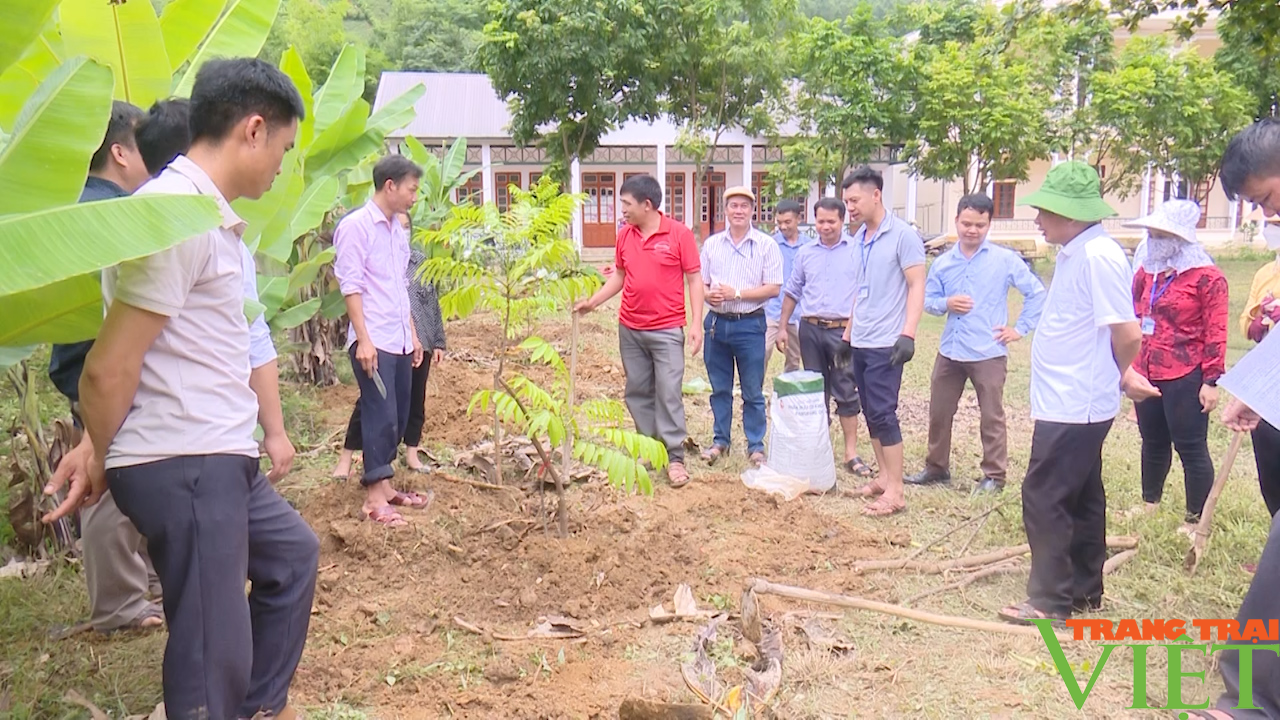 Cầm tay, chỉ việc cùng hội viên nông dân phát triển sản xuất, nâng cao thu nhập - Ảnh 5.