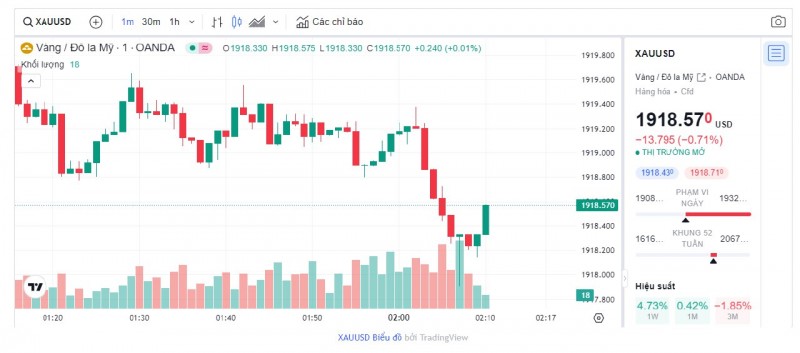 Biểu đồ biến động giá vàng trong 24 giờ qua