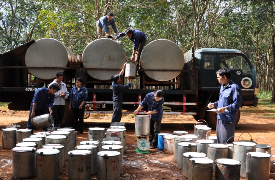 Doanh thu, lợi nhuận lao dốc, Tập đoàn CN cao su hạ kế hoạch lợi nhuận gần 1.000 tỷ đồng - Ảnh 1.