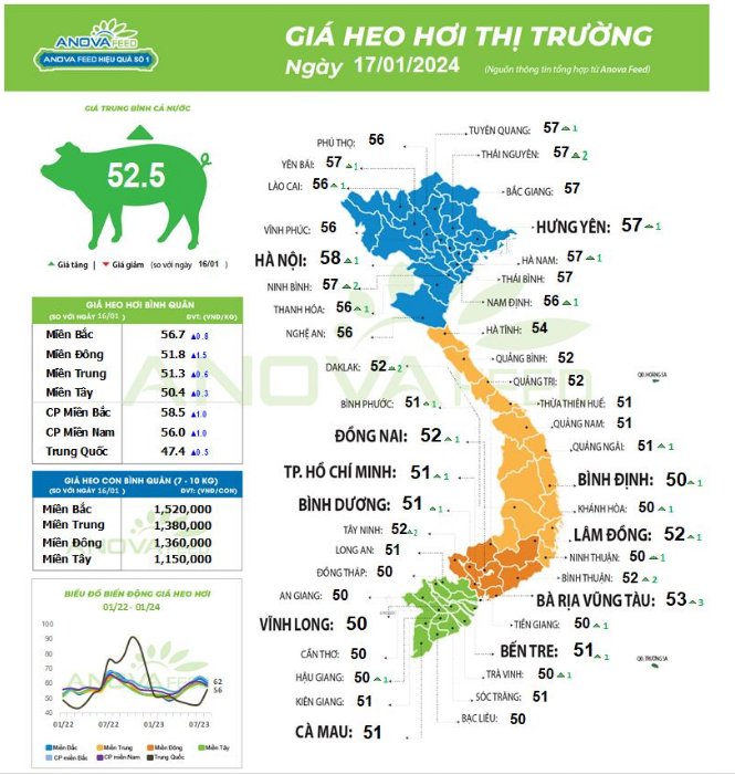 Giá lợn hơi tiếp đà tăng đồng loạt- Ảnh 1.