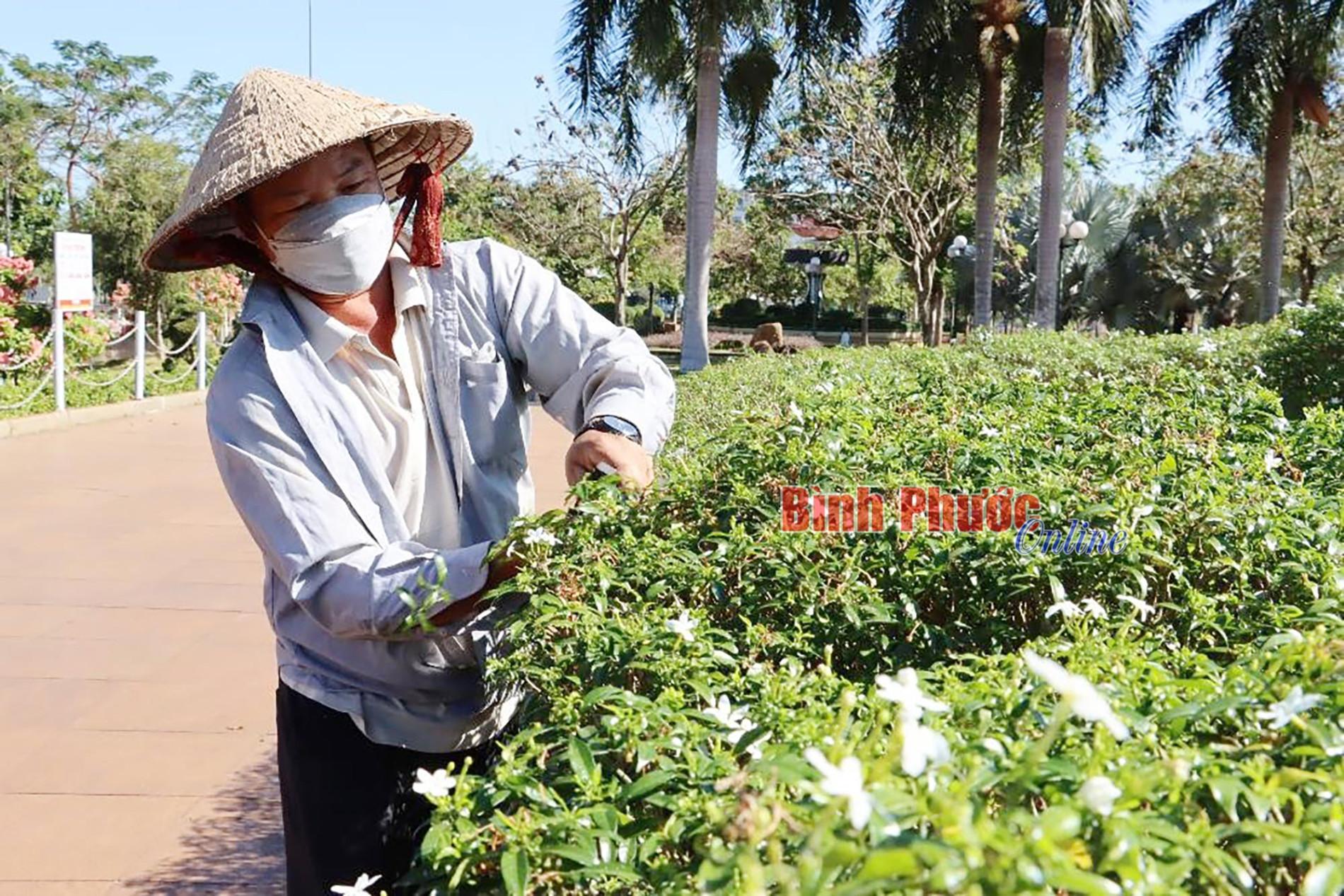 Chỉnh trang đô thị sẵn sàng đón tết