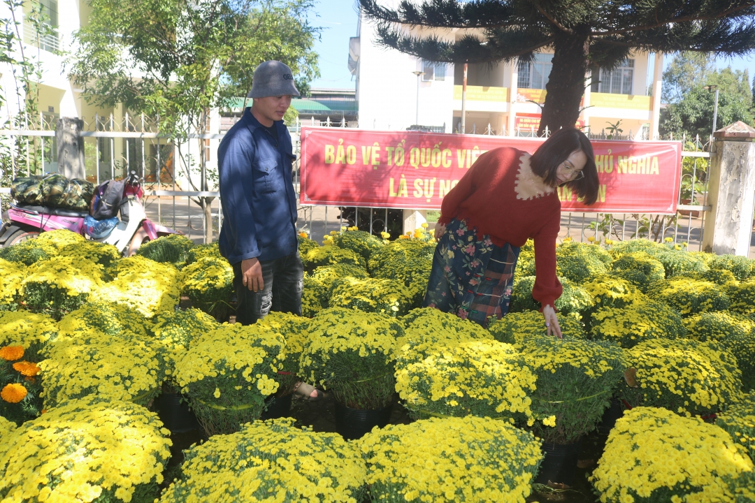 Điểm bán hoa của anh Nguyễn Văn Nhỏ (huyện Krông Pắc) trên đường Nguyễn Thị Định (phường Thành Nhất, TP. Buôn Ma Thuột) ít khách hỏi mua. Ảnh: T. Mai