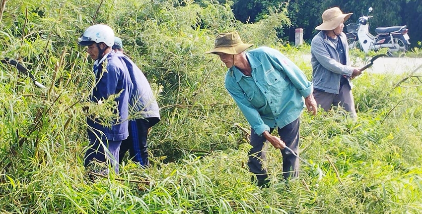 Nói “không” với bao bì bảo vệ thực vật trên đồng