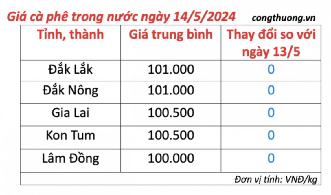 Giá cà phê hôm nay, 14/5/2024: Giá cà phê trong nước ổn định ở mức cao