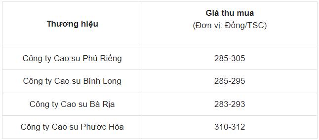 Giá cao su ngày 22/5/2024: Đột ngột giảm mạnh, điều gì đang xảy ra trên thị trường?