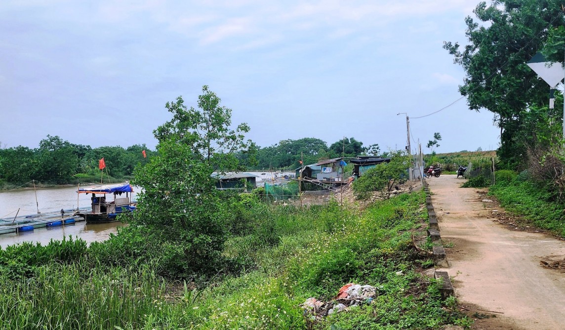 Thanh Hóa: Triển khai nhiều giải pháp nhằm đảm bảo an toàn đê điều trước mùa mưa bão