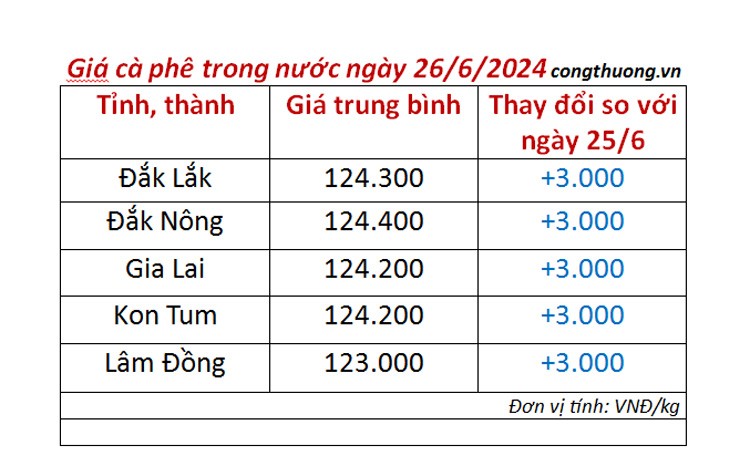 Giá cà phê hôm nay 26/6/2024: