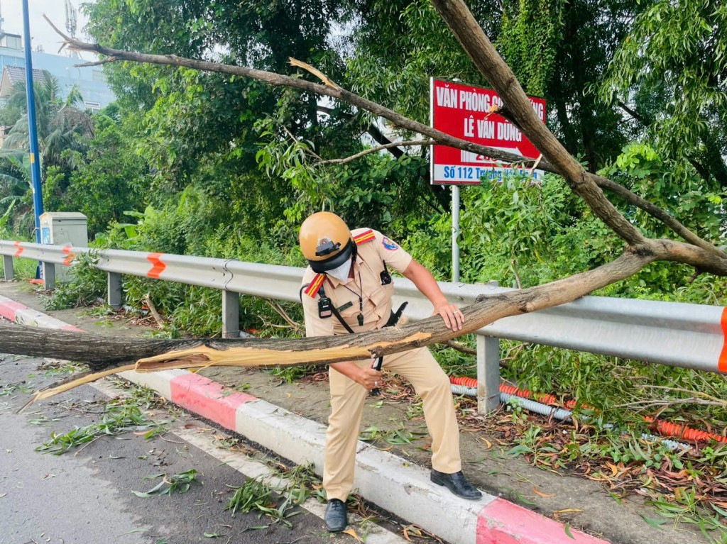 TP Hồ Chí Minh đề nghị người dân gia cố nhà ở, công trình đề phòng bão