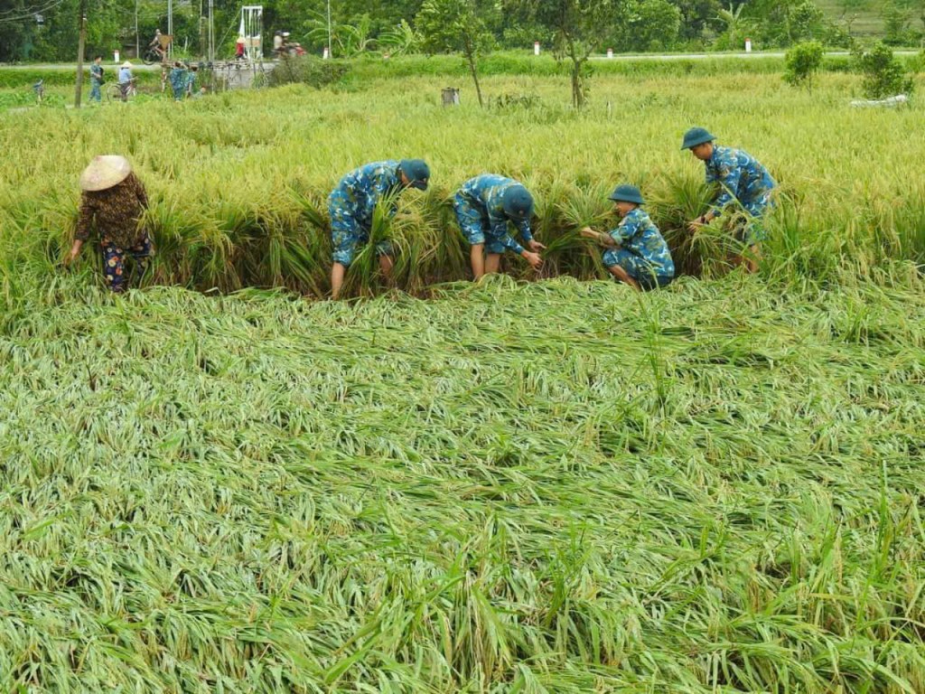 Bài cuối: Nông nghiệp thông minh, thích ứng với biến đổi khí hậu