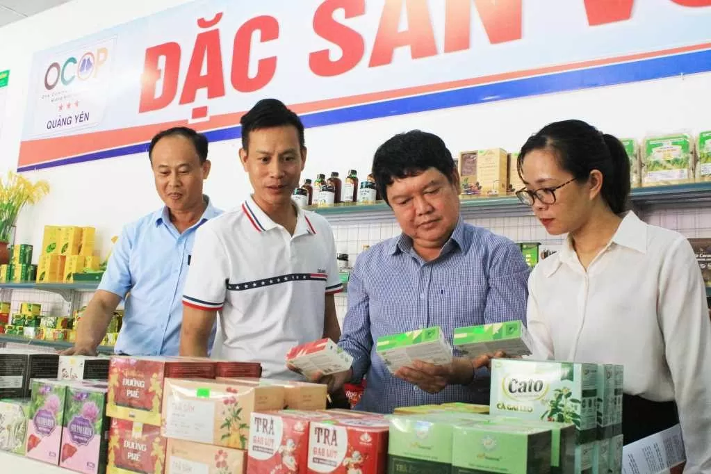 Tỉnh Quảng Ninh: Đẩy mạnh hỗ trợ, nâng tầm hợp tác xã Tỉnh Quảng Ninh: Đẩy mạnh hỗ trợ, nâng tầm hợp tác xã